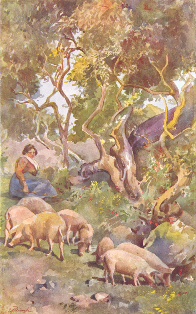 MALTA. In the Boschetto Valley A Maltese Circe (Dingli) 1927 old vintage print